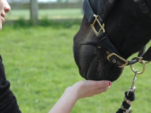 Att rida med olika sjukdomar